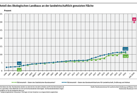 Ein Diagramm zeigt den Anstieg des prozentualen Anteils der Ökolandbauflächen an der gesamten landwirtschaftlichen Fläche, basierend auf Daten des Statistischen Bundesamtes und des BMLEH. Es zeigt außerdem das 30 Prozent-Ziel der Bundesregierung.