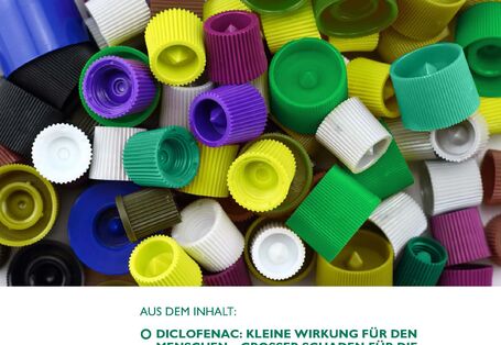 Das Cover der Publikation