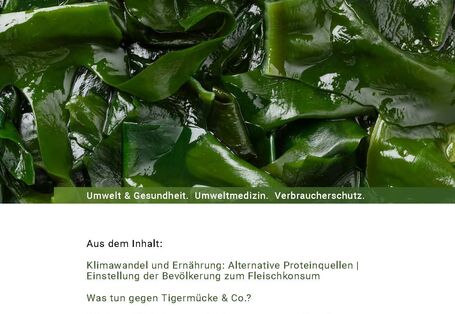 Das Cover der Publikation