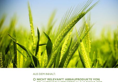 Das Cover der Publikation