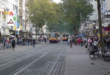 Telefonische Umfrage zur Natur in der Stadt Karlsruhe