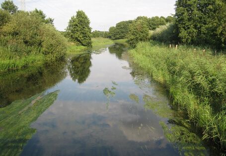 Ein Fluss mit grünem Ufer rechts und links bei dunstigem Wetter