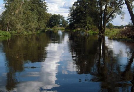 Breiter Fluss mit sehr glattem Wasser, in dem sich die Wolken und die Bäume am Ufer spiegeln.