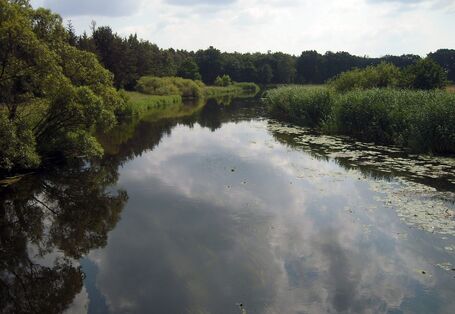Leafy banks of the Spree near Berlin