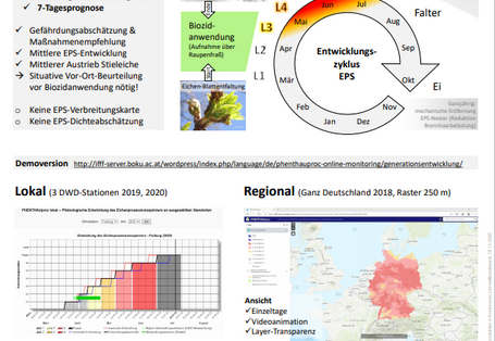 Online-Tool PHENTHAUproc