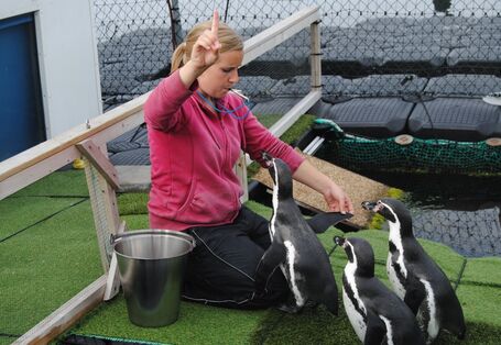 Doktorandin Tabea Lange beim medizinischen: Training "Flügelkontrolle".