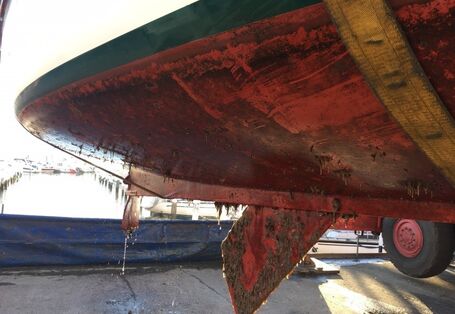 Ein Bootsrumpf mit Algen