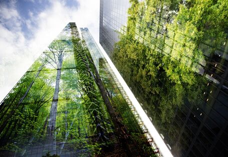 Eine begrünte Fassade