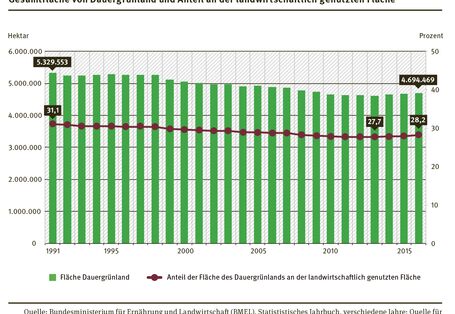 Diagramm: Gesamtfläche von Dauergrünland und Anteil an der landwirtschaftlich genutzten Fläche
