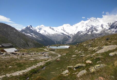 Eine Bergwiese in den Alpen.