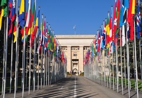 Verschiedene Nationalfahnen vor einem Haus.