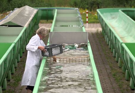 Ein grünes Rohr ist mit Wasser gefüllt, ein Mann mit einem weißen Kittel füllt Plastik ein.
