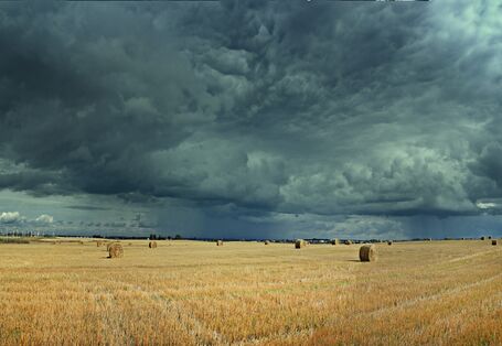 Die Landwirtschaft ist von Klimawandel-Folgen betroffen, verursacht aber auch selbst Emissionen.