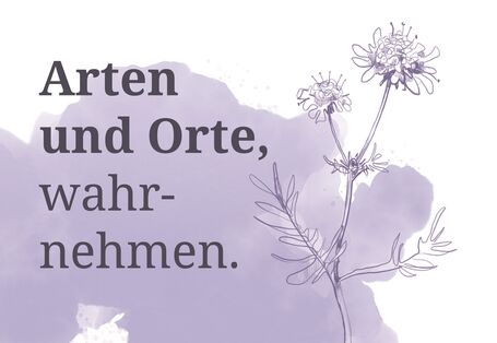 Arten und Orte wahrnehmen