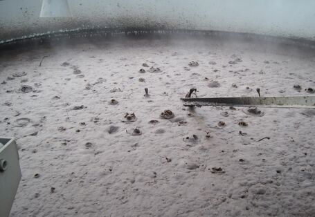 Brauner Klärschlamm in einem Tank von oben