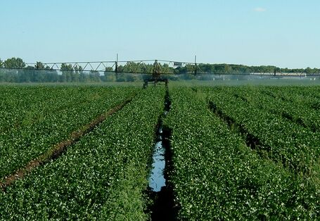 Ein Traktor fährt über ein Feld