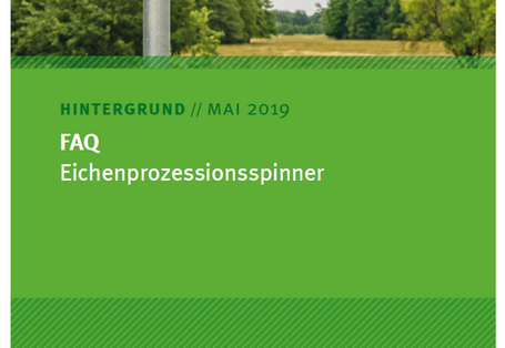 Cover FAQ Eichenprozessionsspinner