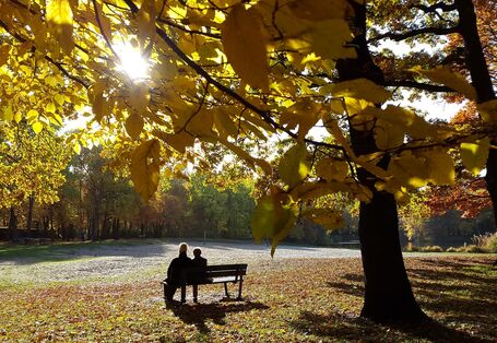 Ein Paar sitzt im Sonnenlicht in einem Park auf einer Bank.