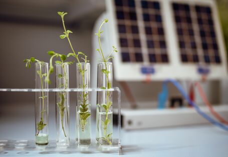 Sustainable chemistry contributes to a positive development in society, environment and economy.