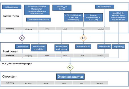 Grundschema zur Beurteilung der Ökosystemintegrität