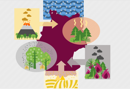 Schematisch werden sechs wichtige, natürliche Quellen dargestellt, die zur Belastung der Luft mit verschiedenen Schadstoffen beitragen.