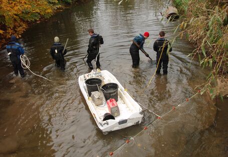 Fish sampling at the British National Fish Tissue Archive (UK Centre for Hydrology and Ecology)