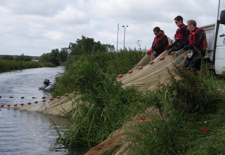 British National Fish Tissue Archive 
