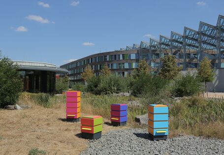 Foto der bunten Bienenkästen auf dem Gelände des UBA in Dessau