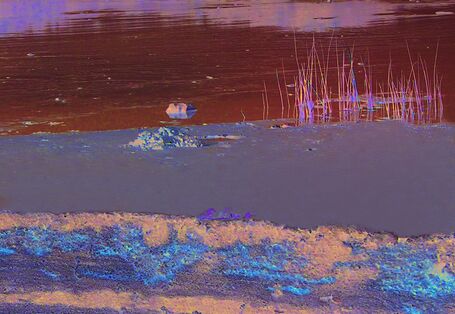 Bildmontage des Wattbodens mit einzelnen Bodenschichten im Untergrund