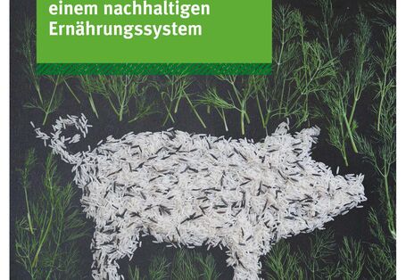 Reiskörner bilden die Kontur eines Schweins, daneben noch Gräser und Nüsse