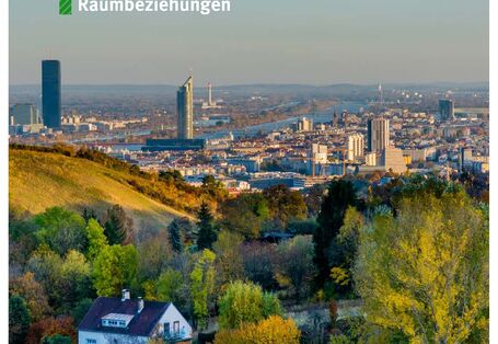 Weinberg mit Haus im Vordergrund. Stadt im Hintergrund.