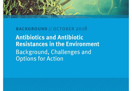 englisches Titelbild mit Keim