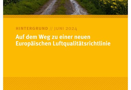 Feldweg zwischen gelben Blumenfeldern