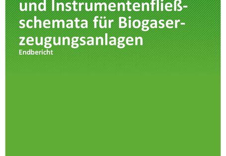Cover_TEXTE_107-2020_Muster-Rohrleitungs- und Instrumentenfließschemata für Biogaserzeugungsanlagen