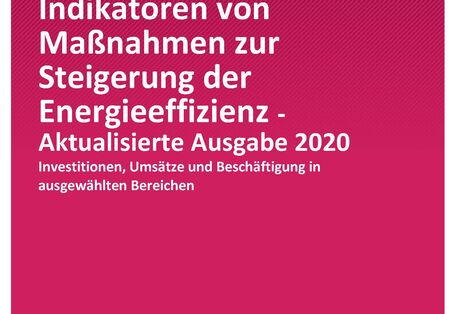 Cover_UIB_03-2020_Oekonomische_Indikaeeffizienz_Aktualisierung_2020