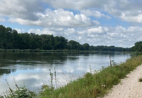 Flusslauf der Donau vom Ufer aus
