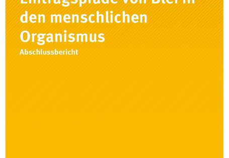 Eintragspfade von Blei in den menschlichen Organismus