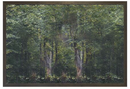 künstliches Waldbild einer KI