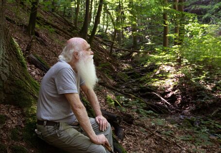 herman de vries sitzt im fränkischen Steigerwald