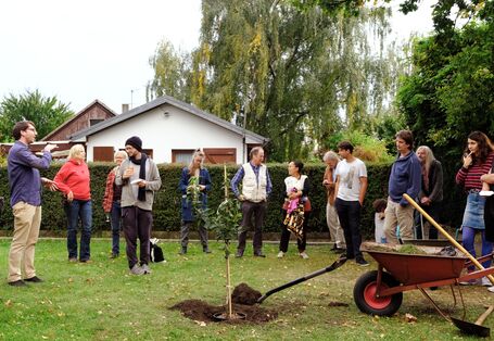 Leute pflanzen einen Baum auf einer Wiese
