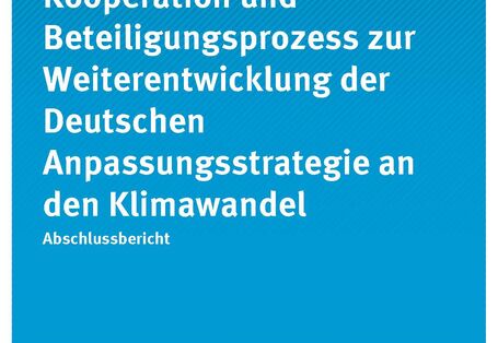 Titelseiten_CC_16-2020_Beteiligungsprozess-DAS