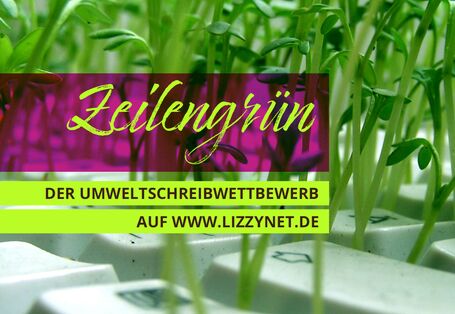 Titeltext Zeilengrün; kleine Pflanzen wachsen zwischen den Tasten einer Tastatur