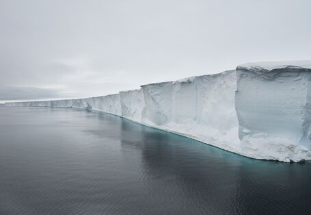 Auf der linken Seite des Bildes sieht man antarktisches Meer, von rechts ragt eine Schelfeisplatte hinein. 