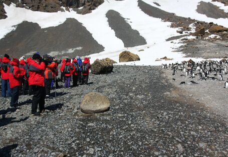 Auf der linken Seite des Bildes steht eine Gruppe von Menschen in roten Kälteschutzanzügen. Sie halten ausreichend Abstand zu einer Gruppe Pinguine auf der rechten Seite. 