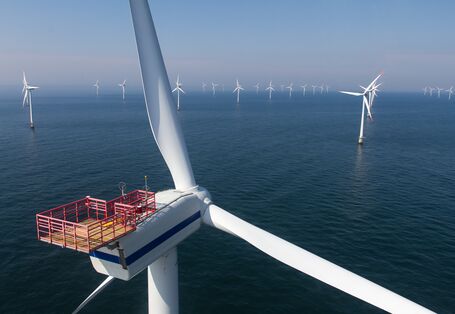 Im Meer steht eine Vielzahl von Windkraftanlagen.