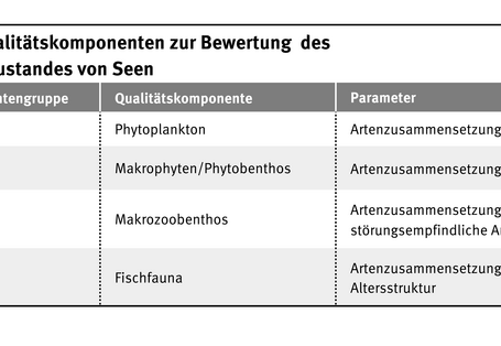 Die Biologischen Qualitätskomponenten zur Bewertung des ökologischen Zustandes von Seen wird tabellarisch dargestellt.