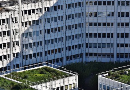 Grünflächen auf Dächern können den Auswirkungen von Hitzewellen entgegenwirken