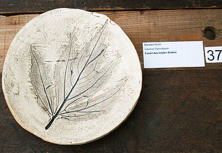 Fossil des letzten Blattes – Mareike Grot, Liborius Gymnasium