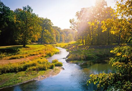 Das Bild zeigt einen Bach, der durch eine Wiese fließt. Bäume und Baumgruppen säumen die Wiese.