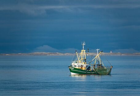 Das Bild zeigt einen Krabbenkutter auf der Nordsee. An der Seite des Schiffs hängt die Baumkurre. Im Hintergrund ist die Küste mit einem Leuchtturm zu erkennen.